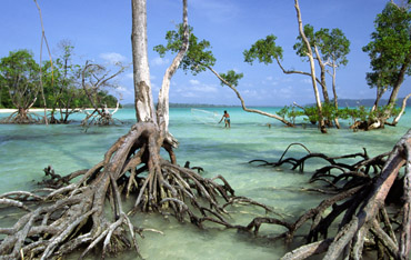 3nights 4days andaman trip
