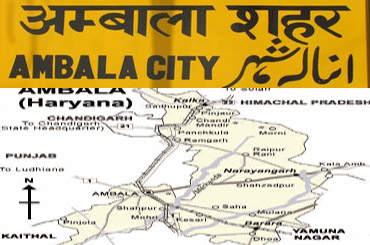 travel agent and tour operator