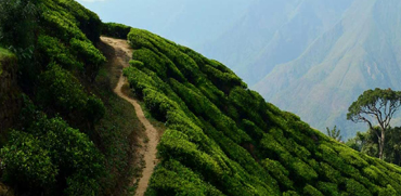 Hillstation Trip from Punjab Haryana