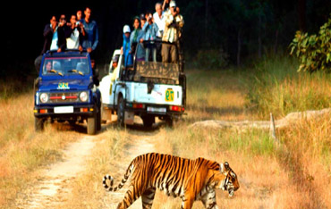 indian holiday tour packages