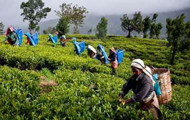 indian holiday tour packages