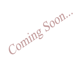 banglore sales office