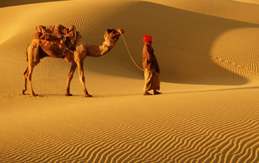 3nights 4days rajasthan trip